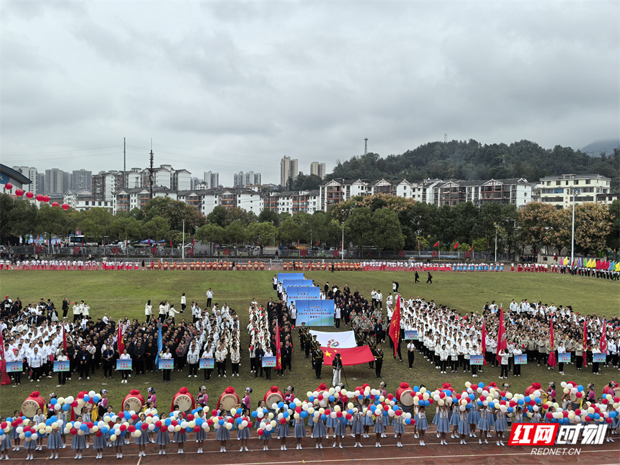 乡镇组在篮 乡镇组在篮